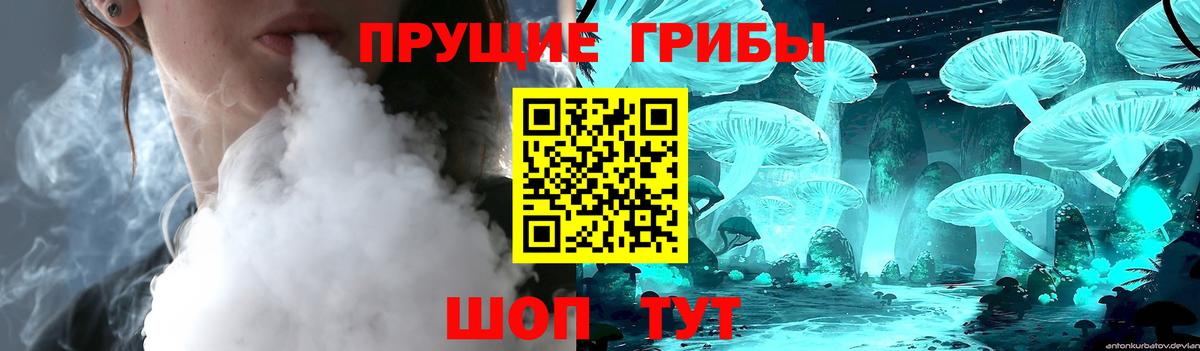 Галлюциногенные грибы Psilocybe Чебоксары